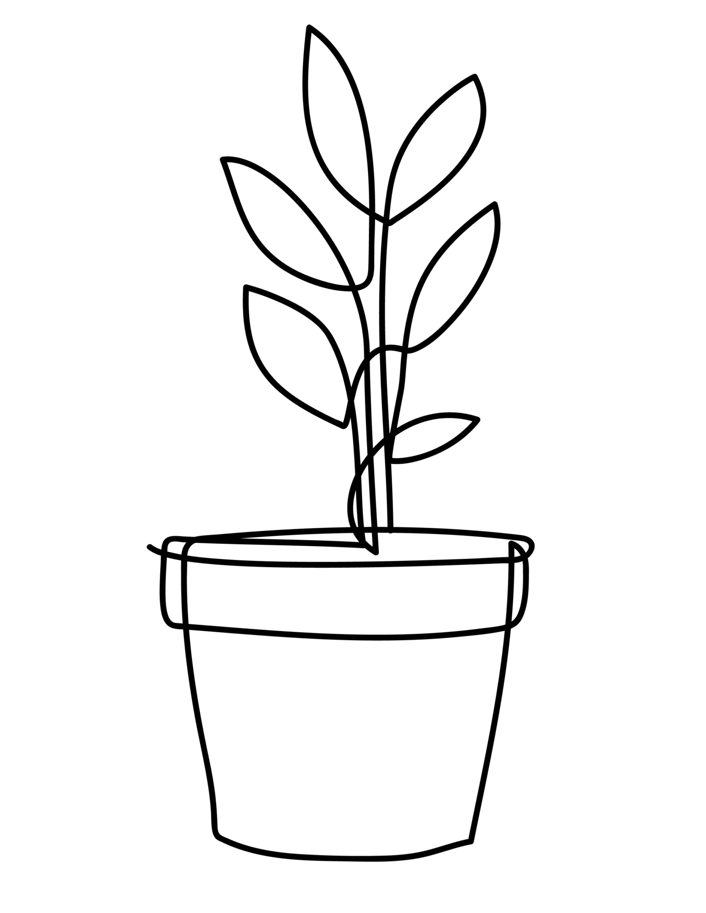 signature of founder