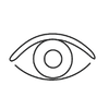 Visual icon